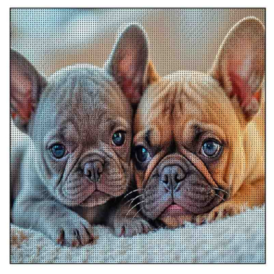 Мозаика - Алмазная картина Strateg Два бульдога (4823113897857)