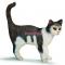 Фигурки животных - Игровая фигурка Серо-белый кот Schleich (13638)