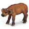 Фигурки животных - Игровая фигурка Теленок африканского буйвола Schleich (14641)