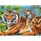Товары для рисования - Раскраска Тигр с тигрятами Royal Brush (PJL5)