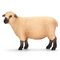 Фигурки животных - Игровая фигурка Овца породы шропшир Schleich (13681)