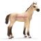 Фигурки животных - Игровая фигурка Ахалтекинский жеребенок Schleich (13702)