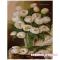 Товари для малювання - Малювання по номерам Білі тюльпани ідейки (MG1063)