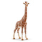 Фігурки тварин - Ігрова фігурка Schleich «Тварини Африки. Самка Жирафа» (14750)