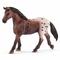 Фігурки тварин - Пластикова фігурка Schleich Аппалузька кобила 13,5 x 3,6 x 10,6 см (13861)