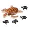 Конструкторы с уникальными деталями - Конструктор Playmobil Морская черепаха с детёнышами (9071)