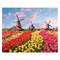 Товары для рисования - Набор для творчества Идейка Сельский пейзаж Красочные тюльпаны Голландии (КН2224)