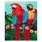 Товари для малювання - Набір для творчості Ідейка Тварини птахи Королівські попуги (КН4051)