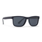 Сонцезахисні окуляри - Сонцезахисні окуляри INVU Вайфарери темно-сині (2911B_K) (K2911B)