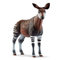 Фігурки тварин - Фігурка Schleich Wild Окапі (14830)