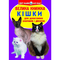 Пізнавальні книги (4-10 років) - Книжка «Велика книга Транспорт» українською (9786177352579)