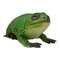Фигурки животных - Фигурка Lanka Novelties Зеленая древесная жаба 22 см (21554)