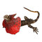 Фигурки животных - Фигурка Lanka Novelties Плащеносная ящерица 55 см (21550)
