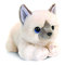 М'які тварини - М'яка іграшка Keel toys Сіамське кошеня 25 см (SC2644/4)