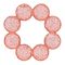 Брязкальця, прорізувачі - Прорізувач Infantino з водою рожевий (206301I)