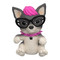Фигурки животных - Интерактивная игрушка Little Live Pets OMG Шоу талантов Щенок Панк Рок (26119)