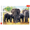 Пазли - Пазл Trefl Африканські слони (10442)