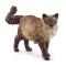 Фигурки животных - Игровая фигурка Schleich Кошка рэгдолл (13940)