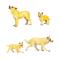 Фигурки животных - Набор фигурок Kids Team Сафари Волк и волчонок в ассортименте (Q9899-A34/2)