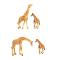 Фігурки тварин - Набір фігурок Kids Team Сафарі Жирафи в асортименті (Q9899-L30/1)
