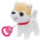 Мягкие животные - Мягкая игрушка Shantou Jinxing Собачка на поводке (PL82305)