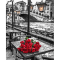 Товари для малювання - Картина за номерами Art Craft Троянди Венеції 40 х 50 см (11320-AC)