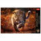 Пазлы - Пазл Trefl Premium Plus Дикий леопард 1000 элементов (10818)