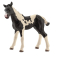 Фігурки тварин - Фігурка Schleich Лоша породи Пінто (13803)