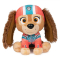 Персонажи мультфильмов - Мягкая игрушка Paw Patrol Щенок Либерти 15 см (SM33351/6062169)