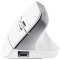 Клавиатура и мыши - Мышка Trust Bayo Multidevice Ergonomic BT/WL/USB-A белый (25399_TRUST)