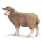 Фигурки животных - Игровая фигурка Овечка Schleich (13283)