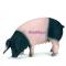 Фігурки тварин - Ігрова фігурка Чорно-біла свиня Schleich (13612)