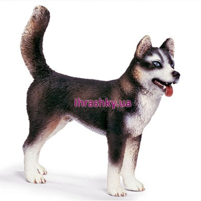 Фигурки животных - Игровая фигурка Лайка Schleich (16371)