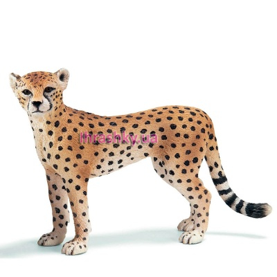 Фигурки животных - Игровая фигурка Гепард Schleich (14614)