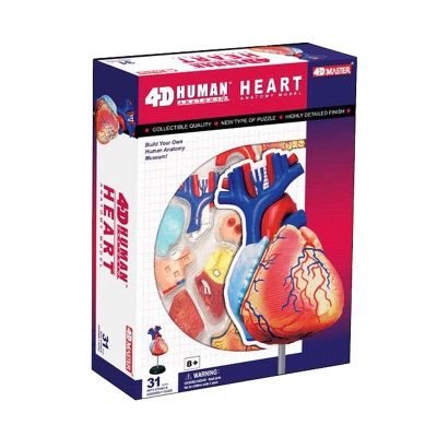 Конструктори з унікальними деталями - Об’ємна збірна анатомічна модель Серце людини 4D Master (26052)