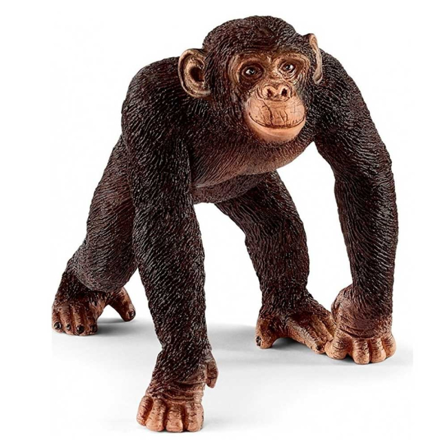 Фігурки тварин - Пластикова фігурка Schleich Шимпанзе 6,5 x 5,2 x 5,7 см (14817)