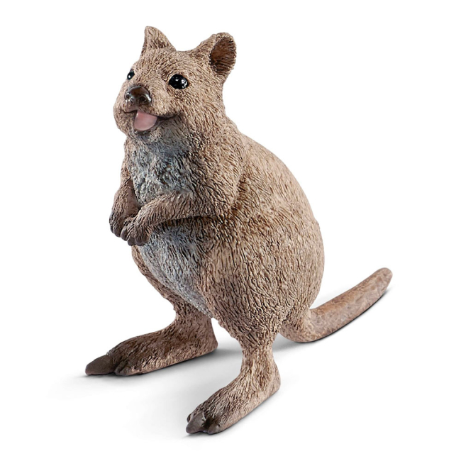 Фігурки тварин - Фігурка Schleich Wild Life Квока короткохвостий кенгуру (14823)
