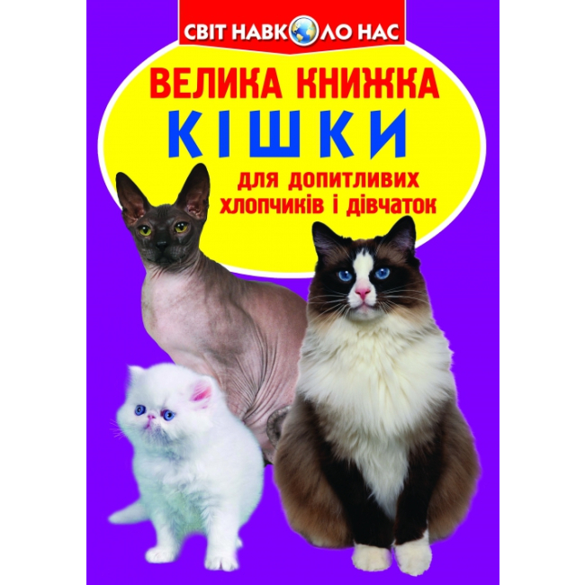 Пізнавальні книги (4-10 років) - Книжка «Велика книга Транспорт» українською (9786177352579)