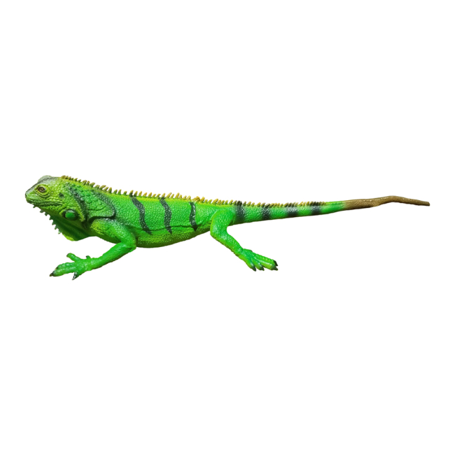 Фігурки тварин - Фігурка Lanka Novelties Ігуана зелена 51 см (21390)