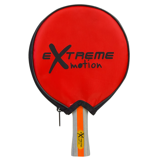 Спортивні активні ігри - Ракетка Shantou Jinxing Настільний теніс в чохлі (T190800)