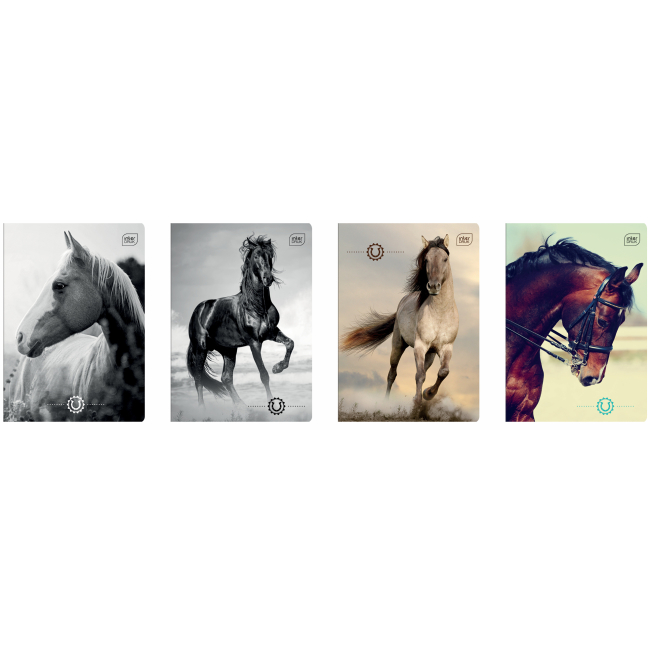 Канцтовары - Тетрадь Interdruk Horses в клетку 12 листов в ассортименте (298546)