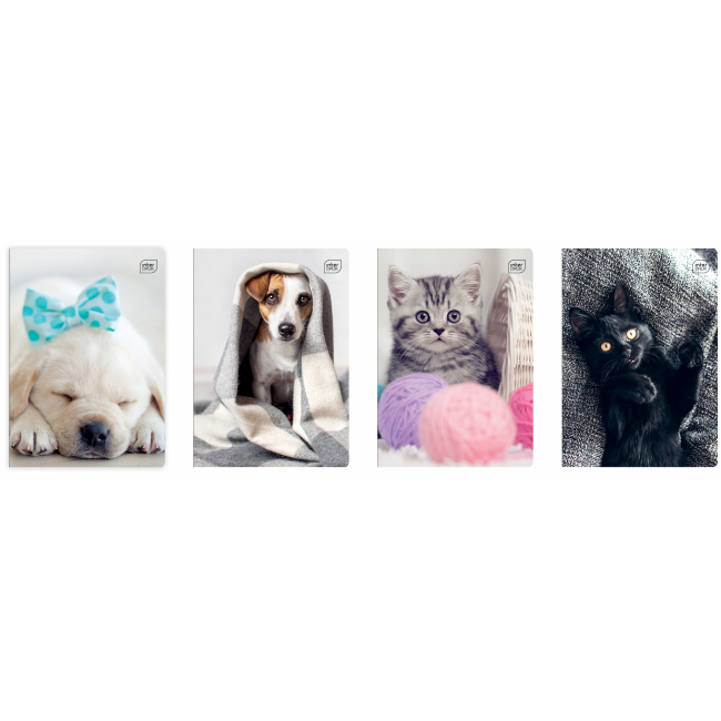 Канцтовары - Тетрадь Interdruk I love pets в линию 12 листов в ассортименте (298652)