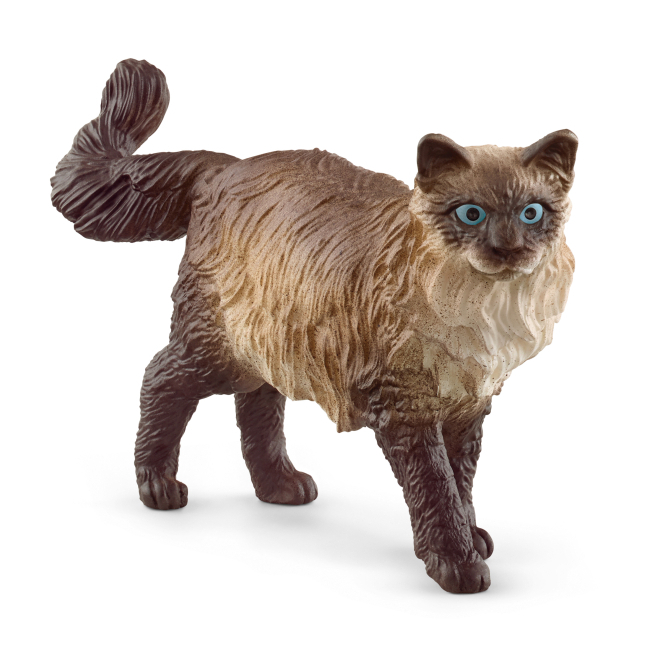 Фігурки тварин - Ігрова фігурка Schleich Кішка регдолл (13940)