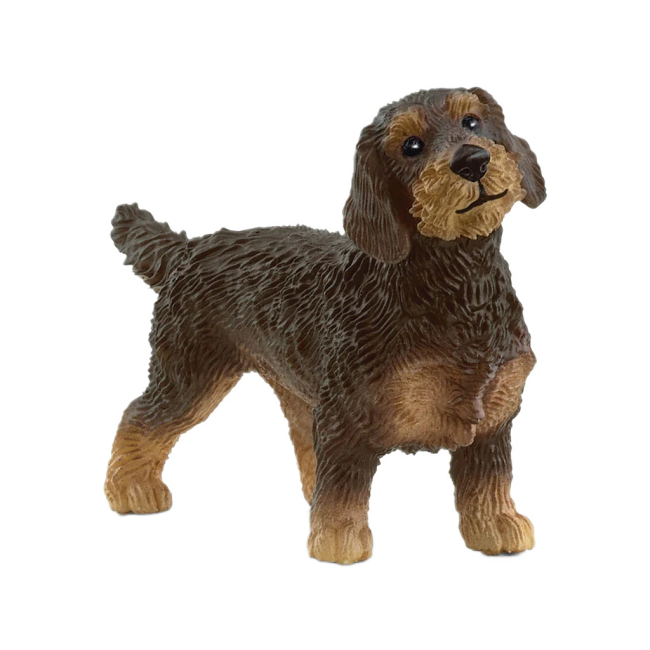 Фігурки тварин - Фігурка Schleich Жорсткошерста такса (13972)