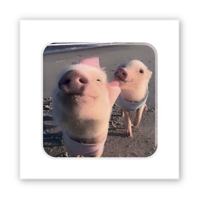 Наборы для творчества - 3D стикер Tattooshka Piggy selfie (SX-271)