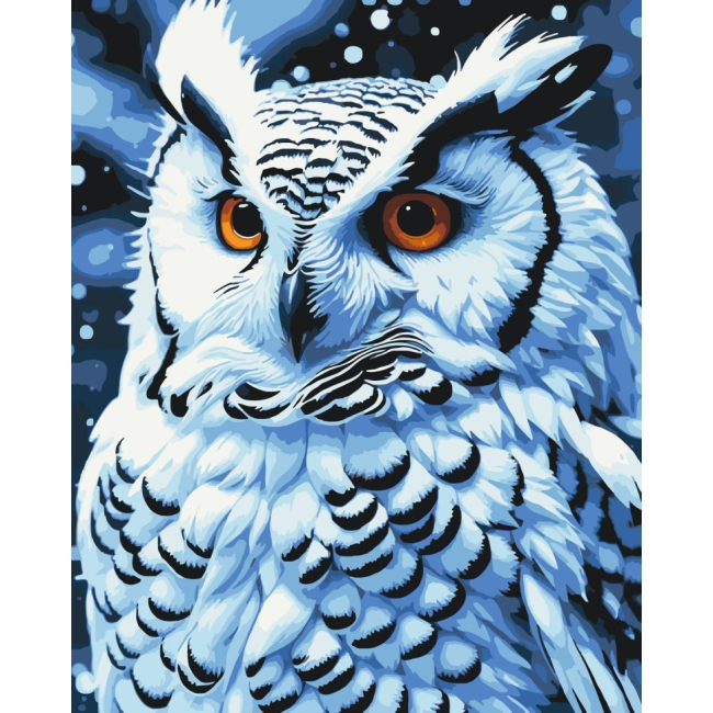 Товары для рисования - Картина по номерам Art Craft Ночная птица 40х50 см (11562-AC)