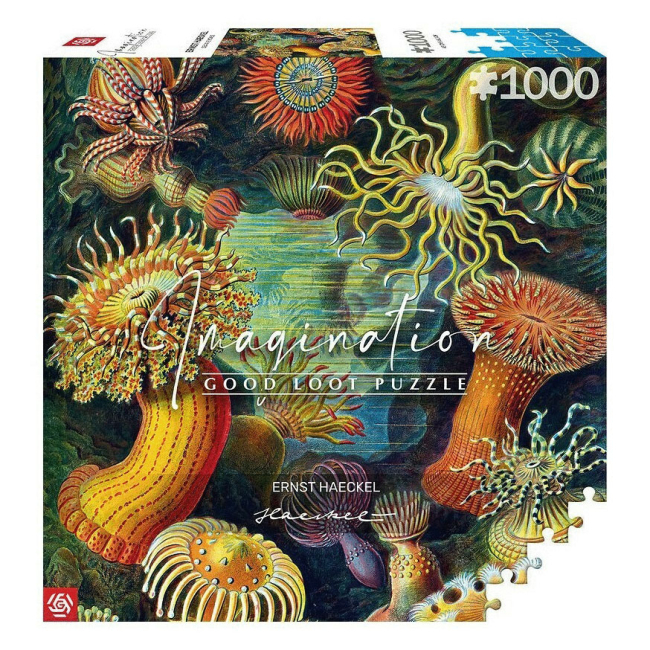 Пазлы - Пазл GoodLoot Imagination Ernst Haeckel Sea Anemones 1000 элементов (5908305244943)