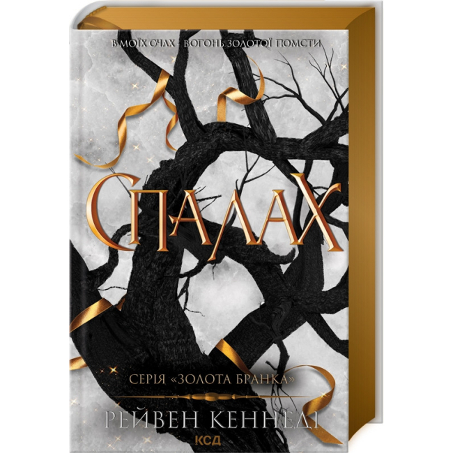 Книги для дорослих - Книжка «Спалах. Книга 3» Рейвен Кеннеді (9786171507975)