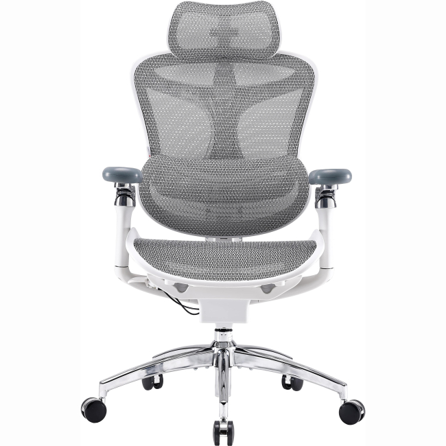 Меблі для геймерів - Крісло офісне Sihoo DORO C300 Pro Mesh White (DORO- C300- PRO- M102)