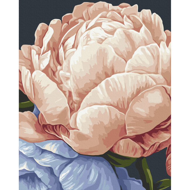 Товары для рисования - Картина по номерам Brushme Покой в ​​цветах Анастасия Алехина (BS54473)